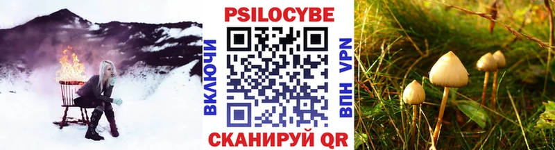 Псилоцибиновые грибы мухоморы  магазин продажи наркотиков  Верхний Тагил 